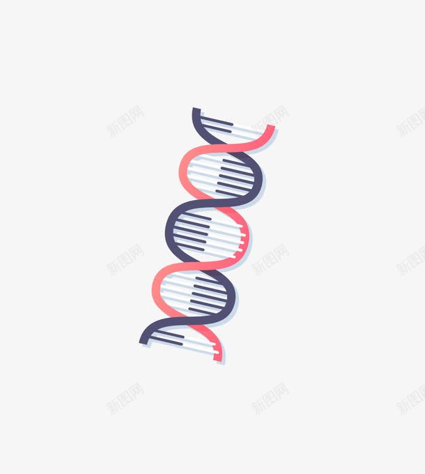 DNApng免抠素材_新图网 https://ixintu.com DNA 信息记录 矢量素材 螺旋