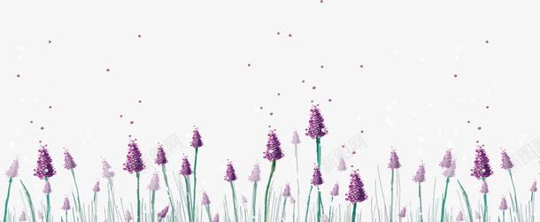 薰衣草png免抠素材_新图网 https://ixintu.com 熏衣草 紫色 背景