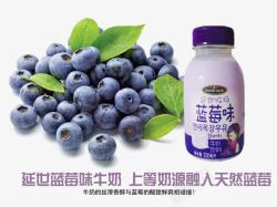 蓝梅蓝莓牛奶高清图片