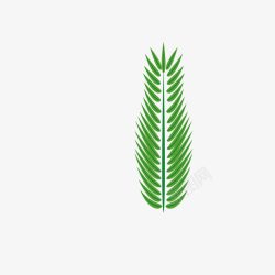 棕榈星期日插图棕榈叶绿色装饰图标高清图片