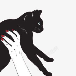 红指甲的手抱着黑猫素材