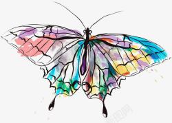 破茧成蝶艺术字美丽的蝴蝶高清图片
