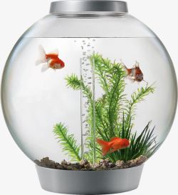 养鱼圆形玻璃鱼缸高清图片