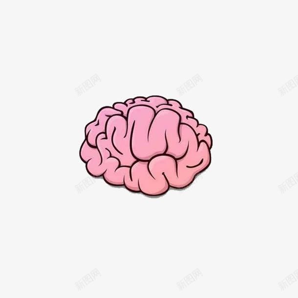 粉色大脑png免抠素材_新图网 https://ixintu.com 大脑 粉色 脑子 脑细胞