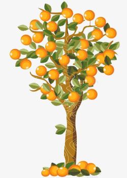 橙色树木橘树高清图片