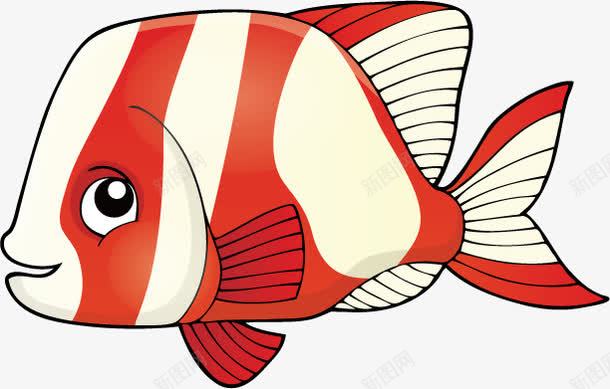 海底世界色彩斑斓的热带鱼png免抠素材_新图网 https://ixintu.com 植物 海带 海底 海藻 热带鱼 珊瑚 虾