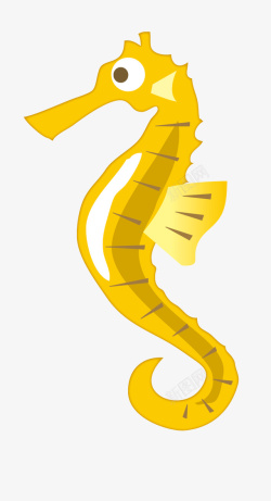 黄色海马金黄色的小海马高清图片
