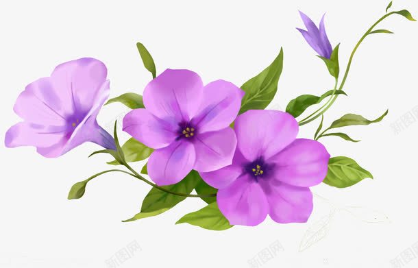 紫色唯美花朵花藤png免抠素材_新图网 https://ixintu.com 紫色 花朵