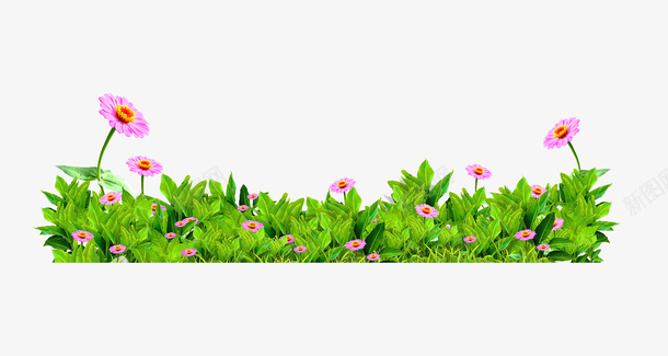 绿色花丛装饰图案png免抠素材_新图网 https://ixintu.com 免抠PNG 公园 大自然 植物 花圃 花坛 花朵 草丛 鲜花