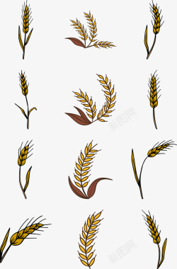 手绘麦苗秋季金黄色手绘收货小麦仁麦穗矢矢量图高清图片