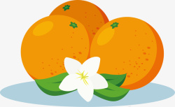 白色果实栀子花卡通柑橘高清图片