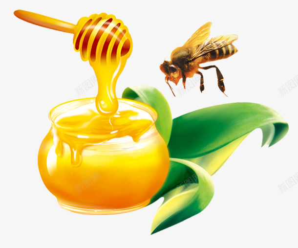 卡通甜蜜蜂蜜罐头包装png免抠素材_新图网 https://ixintu.com 卡通 密封 甜蜜 罐头包装 蜂蜜 蜂蜜包装 黄色