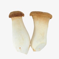 新鲜菌菇鸡腿菇高清图片