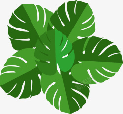 植物镂空镂空绿叶平面图矢量图高清图片