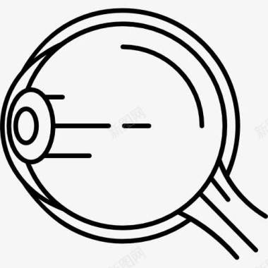 眼球的结构图标图标