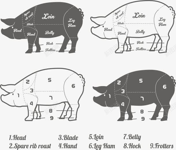 猪肉成分解析矢量图eps免抠素材_新图网 https://ixintu.com 家畜 猪肉 猪肉分类 猪肉成分 矢量素材 矢量图