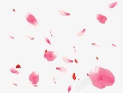 玫瑰花瓣粉色浪漫素材