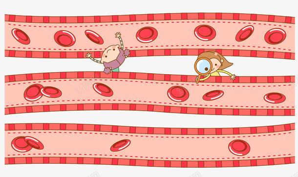 血管png免抠素材_新图网 https://ixintu.com 红细胞 红细胞血液插图 血管 血细胞
