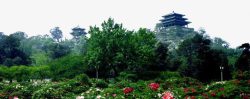 自然北京景山公园明清建筑高清图片