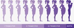出生的小宝宝紫色怀孕过程高清图片