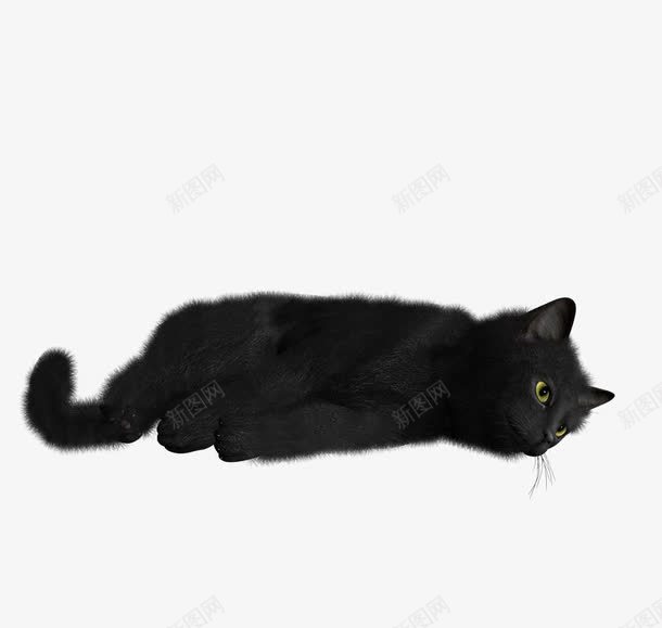 趴着的猫咪png免抠素材_新图网 https://ixintu.com 剪影 动物 水墨底图 水墨画猫 猫 黑色