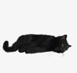 水墨画猫趴着的猫咪高清图片