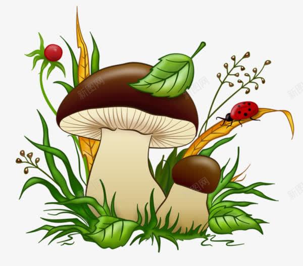 香菇png免抠素材_新图网 https://ixintu.com 七星瓢虫 清新 花草 菌类 蘑菇 野生菌 野蘑菇 香菇