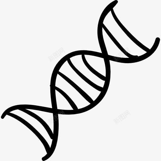 DNA链图标png_新图网 https://ixintu.com DNA 形 手绘 教育 科学 链