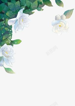白色植物花朵星点素材