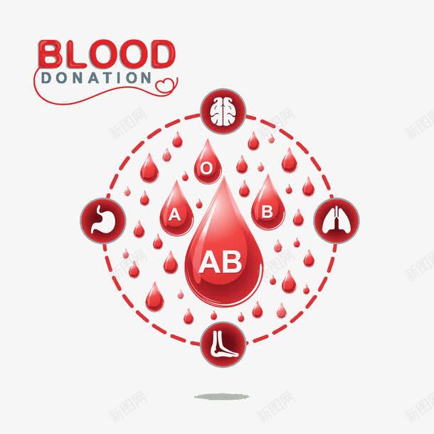血滴血型图标png_新图网 https://ixintu.com 大脑 捐血 无偿献血 血型