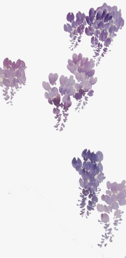 淡彩紫藤花素材