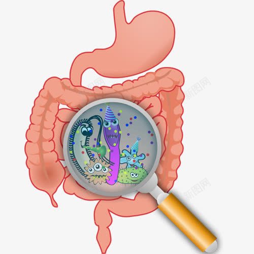 病菌png免抠素材_新图网 https://ixintu.com 卫生 小肠 干净 放大镜 病菌 肠胃