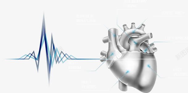 心率心脏png免抠素材_新图网 https://ixintu.com 心率 心脏 矢量心脏 线条