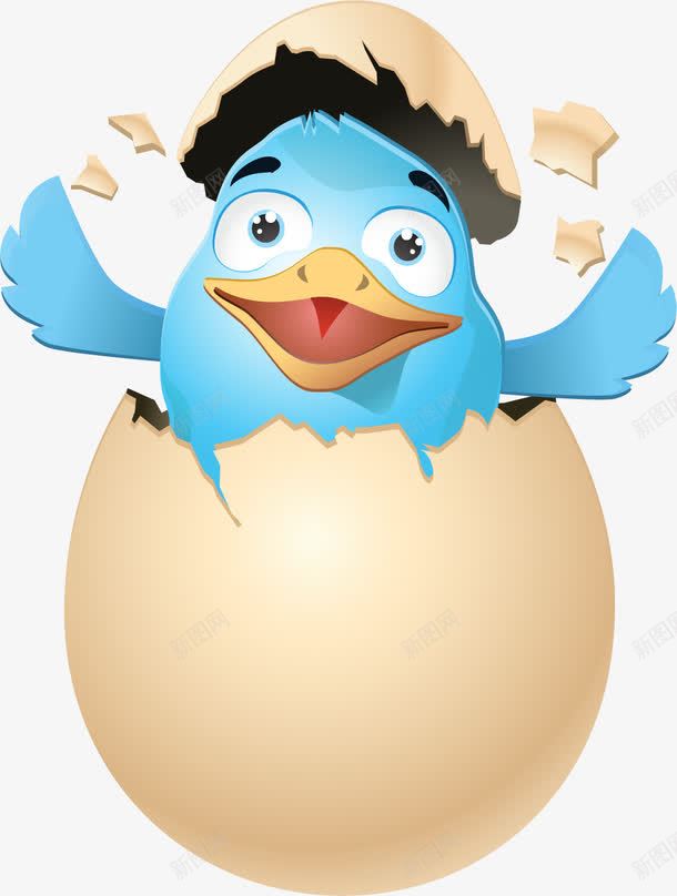 小鸡孵化png免抠素材_新图网 https://ixintu.com 一个鸡蛋 孵出鸡蛋 小鸡孵化 新鲜鸡蛋 禽类蛋类 鸡蛋