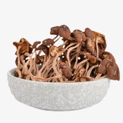 非干菇茶树菇食材高清图片