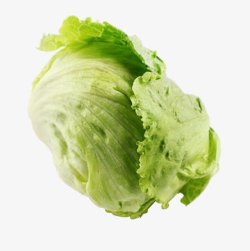 一颗莴苣一颗绿色的结球莴苣高清图片