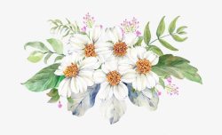 鲜花拱门白色唯美鲜花高清图片