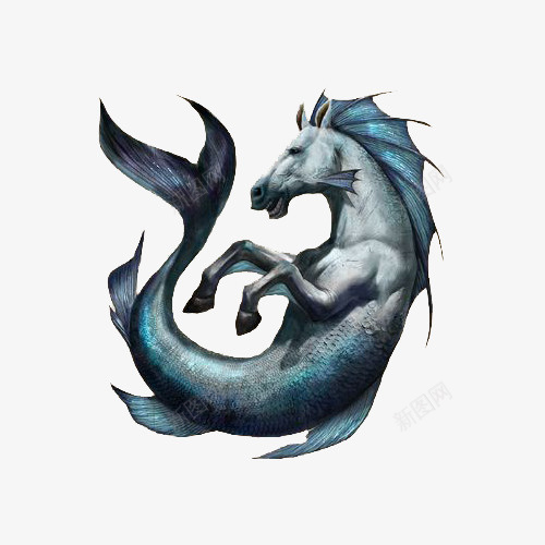蓝色马和鱼的海洋怪物png免抠素材_新图网 https://ixintu.com 变异 怪兽 怪物 海怪 海洋 结合体 蓝色 蓝色海怪 马 鱼