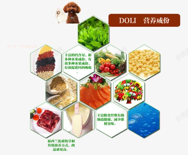 狗粮成分表png免抠素材_新图网 https://ixintu.com 产品实物 宠物食品 成分表