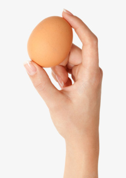 聪明鸡蛋褐色鸡蛋手捏着的初生蛋实物素材