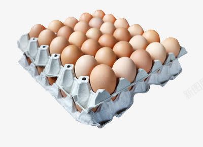 一板鸡蛋png免抠素材_新图网 https://ixintu.com 摆放 营养 蛋白质
