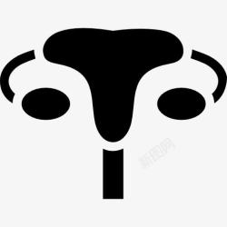 矢量卵巢子宫图标高清图片