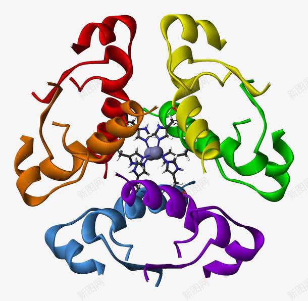 蛋白质胰岛素锌六聚体png免抠素材_新图网 https://ixintu.com 生物 结构 胰岛素 蛋白质分子 蛋白质结构