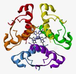 蛋白质分子蛋白质胰岛素锌六聚体高清图片