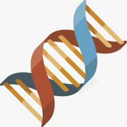 DNA模型素材