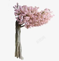 粉色樱花仿真树素材