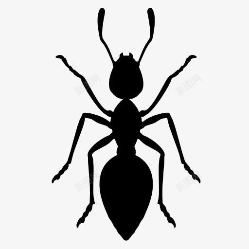蚂蚁剪影png免抠素材_新图网 https://ixintu.com 动物 投影 昆虫 黑色剪影