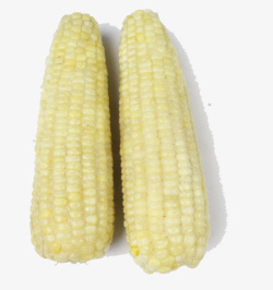 三个白玉米两根儿农家无公害玉米高清图片