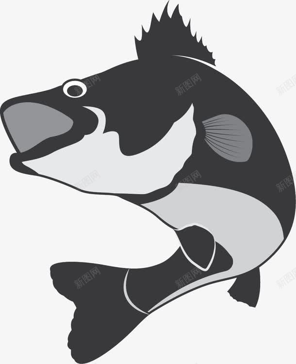 大嘴巴黑鱼png免抠素材_新图网 https://ixintu.com 一跃而起 大嘴巴 跃出水面的鱼 跳出水面 跳跃的鱼 鱼类