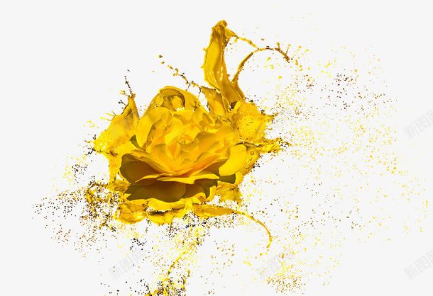 金色玫瑰png免抠素材_新图网 https://ixintu.com 喷溅的水花 玫瑰 背景装饰 金属玫瑰 金色 镀金 鲜花